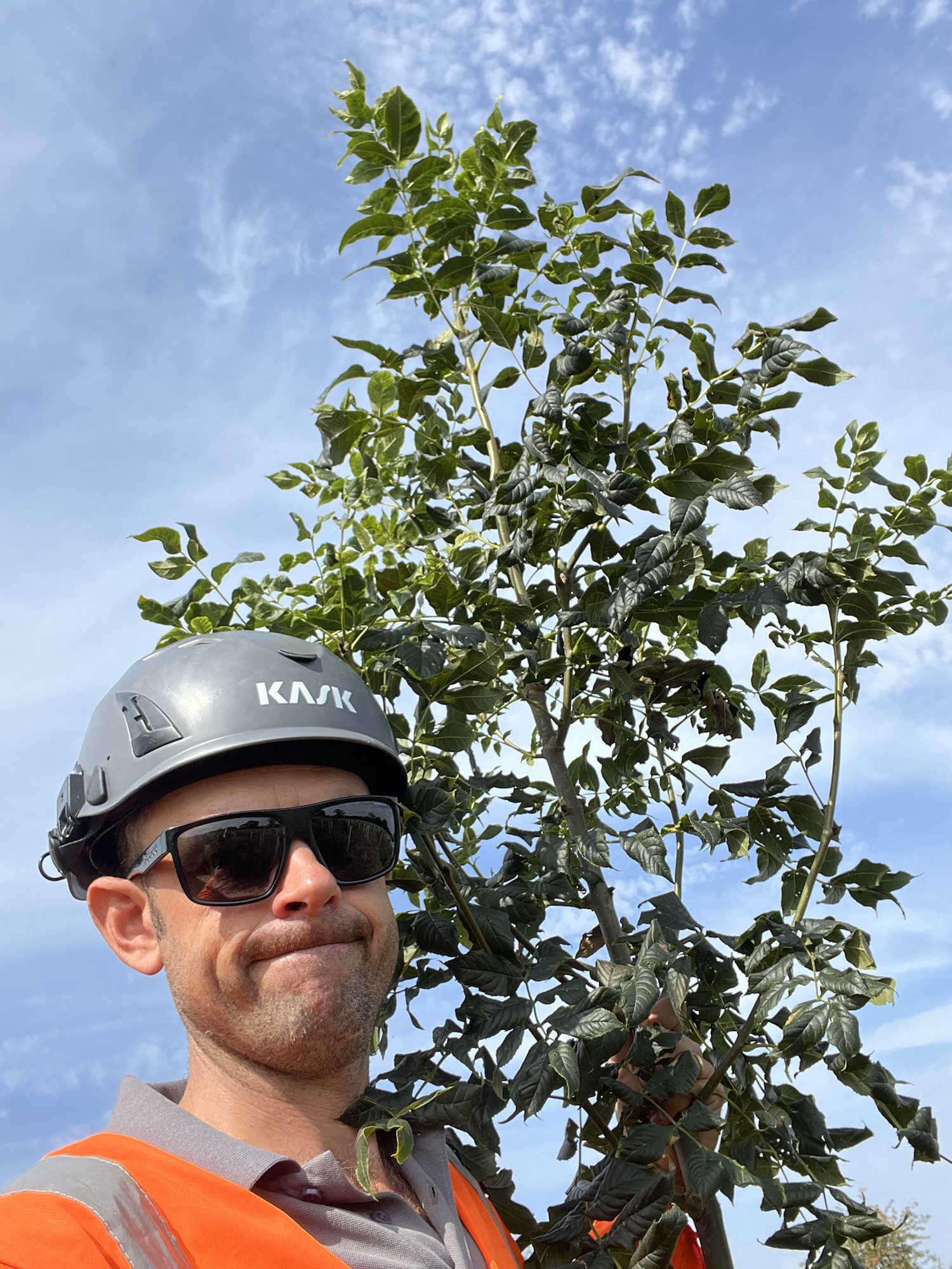 Champion tree! – Guy Hodgson
